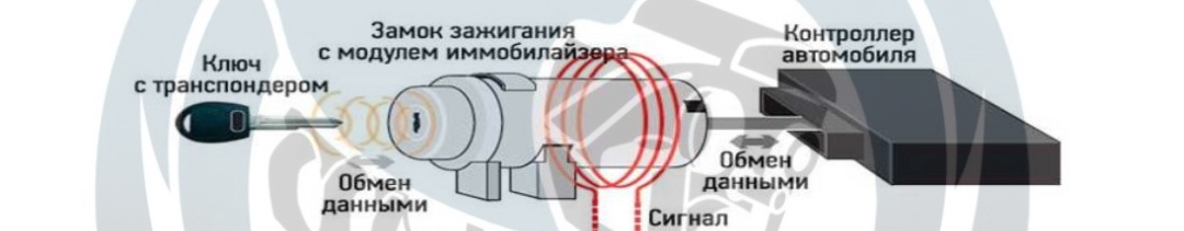 836192ec-4856-4035-aea6-4d770fd4a8fd-иммо схема 1.jpg